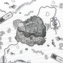 Ribosomen-Biosynthese in Archaeen