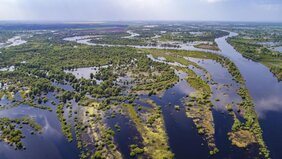 Der Fluss Pripyat (Belarus) mit seinen Überflutungsflächen und Altarmen ist ein wichtiges Brut- und Rastgebiet für Vögel  