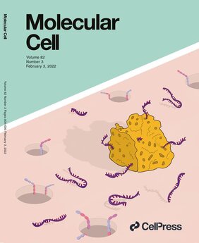 Künstlerische Darstellung eines RNA-Schwamms in Aktion auf dem Titel von Molecular Cell.
