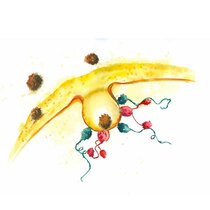Grafik 