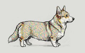 Corgi, hier durch den gleichnamigen Hund dargestellt, ist ein KI-Tool, das allein anhand von DNA-Sequenzen Rückschlüsse auf die Genomaktivität zieht. Corgi, hier durch den gleichnamigen Hund dargestellt, ist ein KI-Tool, das allein anhand von DNA-Sequenzen Rückschlüsse auf die Genomaktivität zieht.