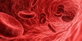 Blutstammzellen Epigenetik