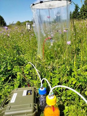 Sammlung von Düften ganzer Pflanzengemeinschaften auf den Versuchsflächen des Jena-Experiments.