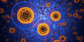 Mit KI designte Proteine machen neue RNA-Transporter möglich Zellen