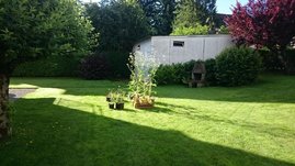 Kurz gescnittener Rasen mit Gebude im Hintergrund
