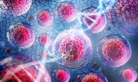 Eine Illustration von Zellen, die das Konzept des genetischen Mosaiks in Blutstammzellen veranschaulicht
