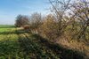 Landschaft mit Feldern und Hecken