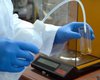 Curcumin wird gelöst, um es im Fütterungsexperiment einzusetzen.
