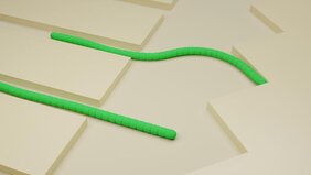 zwei grüne fadenförmige Bakterien die abknicken Grafik