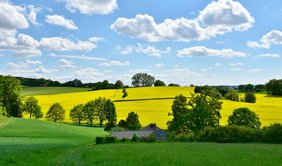 Landschaft