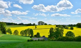 Landschaft