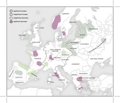 Szenarien der demografischen Auswirkungen der Pest