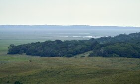 Klima Vegetation Afrika