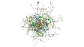 Viele Momentaufnahmen des Krebsproteins p53, die farblich getrennt übereinandergelegt sind, veranschaulichen die komplexen Bewegungsmuster dieses intrinsisch ungeordneten Proteins. Viele Momentaufnahmen des Krebsproteins p53, die farblich getrennt übereinandergelegt sind, veranschaulichen die komplexen Bewegungsmuster dieses intrinsisch ungeordneten Proteins.