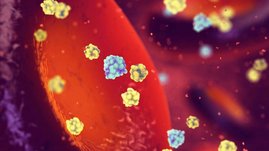 Glucose und Insulin (blau und gelb) passieren eine Blutbahn, im Hintergrund ist ein rotes Blutkörperchen zu sehen. 