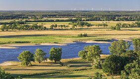 Biosphärenreservat Flusslandschaft Elbe