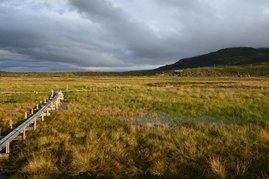 Mosaikartige Landschaft im Torfmoor von Stordalen bei Abisko in Schweden mit Torfhügel-, Moor- und Marschbereichen.
