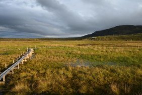 Mosaikartige Landschaft im Torfmoor von Stordalen bei Abisko in Schweden mit Torfhügel-, Moor- und Marschbereichen. Mosaikartige Landschaft im Torfmoor von Stordalen bei Abisko in Schweden mit Torfhügel-, Moor- und Marschbereichen.