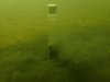 Sedimentprobe im Wasser