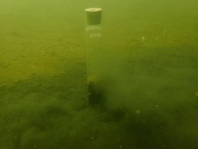 Sedimentprobe im Wasser