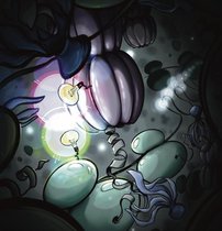 Erleuchtung des Zellinneren: Wie TRiC Proteine in der Zelle faltet.