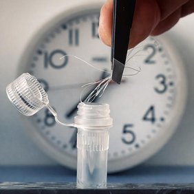 Eine Haarprobe in einem Reagenzglaz vor einer Uhr