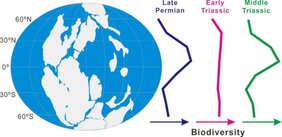 Globale Verteilung der biologischen Vielfalt vom Oberperm bis zum Mitteltrias