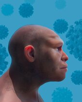 Genvarianten, die wir vom Neandertaler geerbt haben, können unser Risiko, bei einer Infektion mit SARS-CoV-2 schwer zu erkranken, 