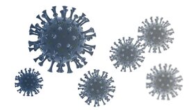 Coronavirus SARS-CoV-2