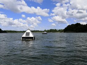 Wachstum von Blaualgen in Gewässern