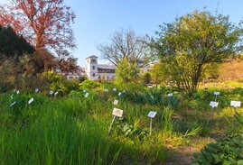 Leipzig beherbergt den ältesten Botanischen Garten Deutschlands. 