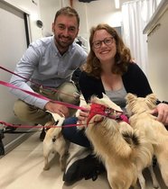 Menschen und Hunde im Labor