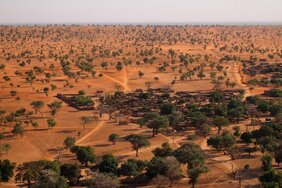 Die Landschaft nahe Bandiagara (Mali) zeigt eine Vielzahl an freistehenden Bäumen
