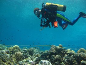 Der Autor beim Zählen von Fischen in einem Korallenriff 