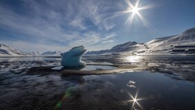 Klimakrise und Biodiversitätskrise