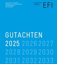 Buchcover EFI