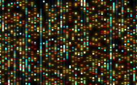 Die Evolution lässt sich Zeit, um Veränderungen hervorzubringen