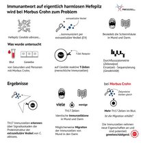 Grafische Zusammenfassung der Ergebnisse Grafische Zusammenfassung der Ergebnisse