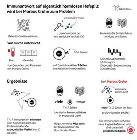 Grafische Zusammenfassung der Ergebnisse Grafische Zusammenfassung der Ergebnisse