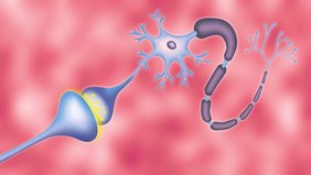 Darstellung einer Synapse zwischen zwei Gehirnzellen mit Neurotransmittern (gelb).  