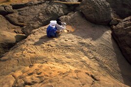 Steinzeichnungen von Giraffen aus Gobero (Niger), ca. 8.000 Jahre alt