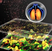 In-silico-Modellierung von Partikel-Zell-Interaktionen für die Vorhersage der Toxizität von Nanopartikeln für die Atemwege 