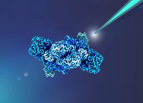 Elektronenversorgung des Biokatalysators Fe-Nitrogenase