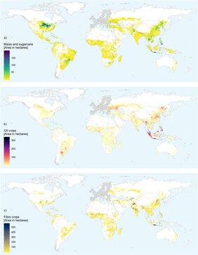 Die Grafik zeigt den Flächenverbrauch der EU außerhalb ihrer Grenzen für den Anbau von Pflanzen, die nicht zum Verzehr bestimmt sind (a: Mais/Zuckerrohr; b: Ölpflanzen; c: Faserpflanzen). 