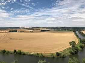 Strukturarme und ausgeräumte Agrarlandschaft