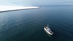 Mit der MS Farm beprobten die Bremer Forschenden mehrfach und zu verschiedenen Jahreszeiten den Meeresboden rund um Spitzbergen. 