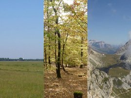 Naturschutzgebiet Hollerland nahe der Universität Bremen, Wald mit Herbstfärbung in Hessen, Berggipfel in den Dolomiten, Südtirol, Italien.