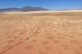 Drohnenaufnahme eines Autos im NamibRand-Naturreservat, eine der Feenkreisregionen in Namibia