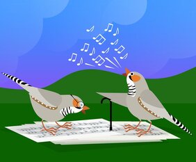 Grafische Illustration: zwei singende Zebrafinken