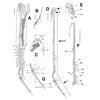 Wissenschaftliche Linienzeichnung von Thalassodoron bathyale  